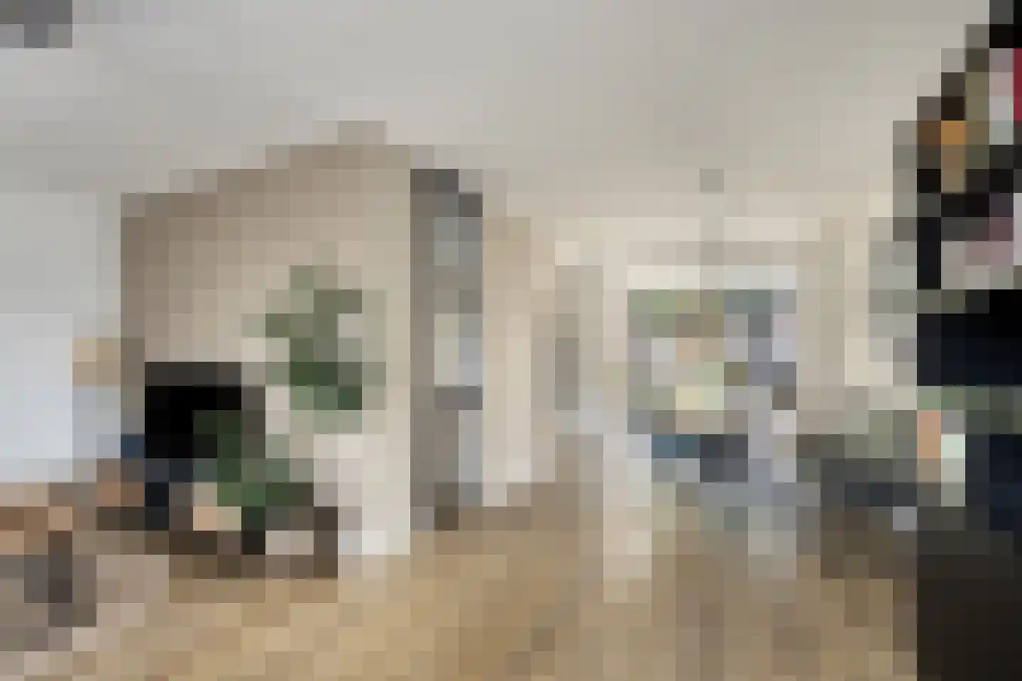 Waalseweg 8 Someren thumbnail 12