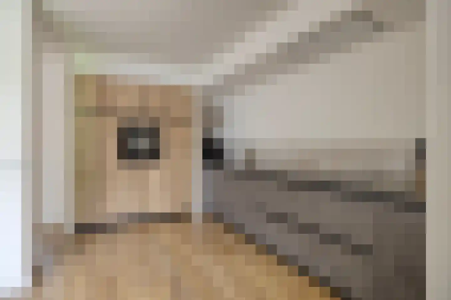 Waalseweg 8 Someren thumbnail 15