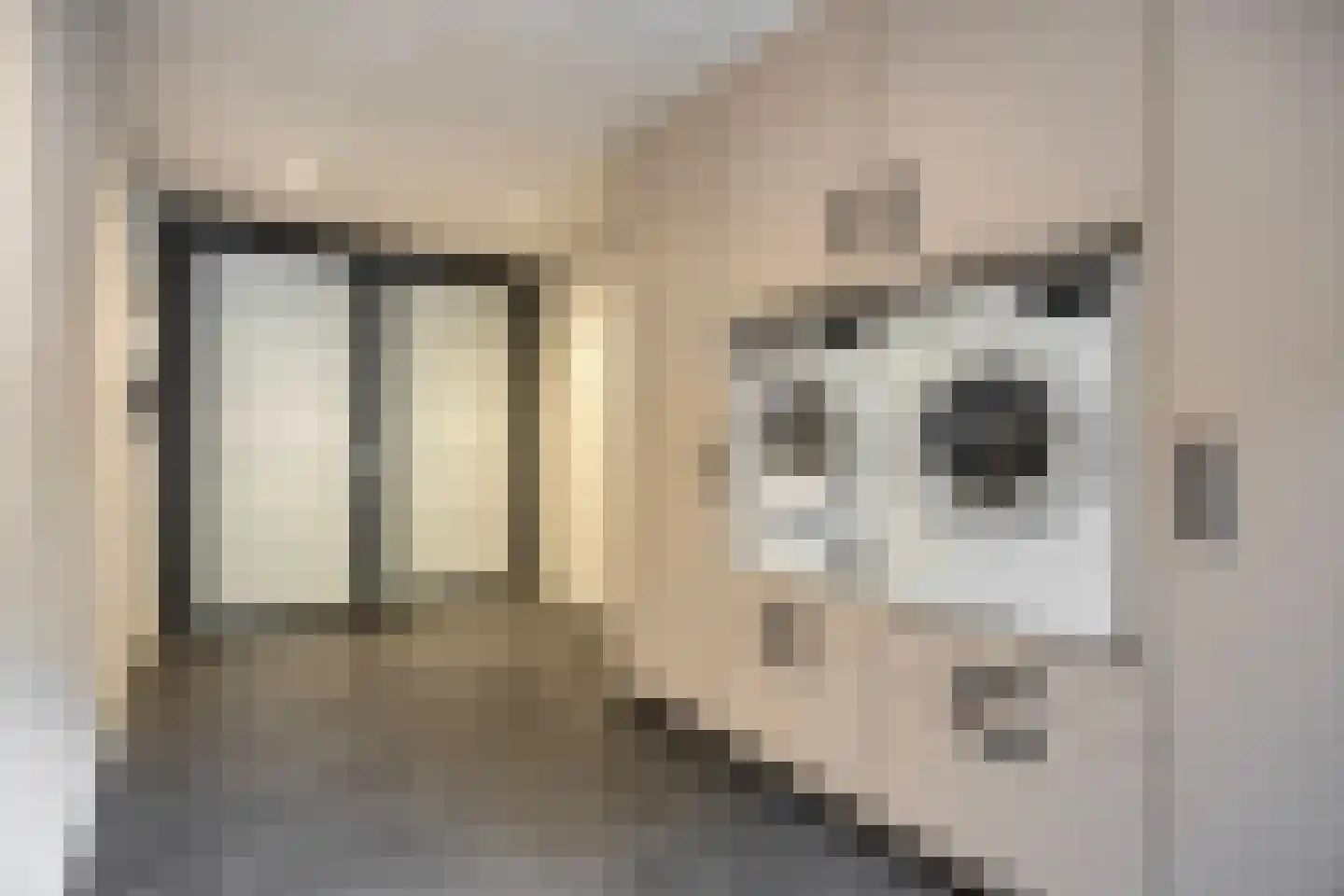 Waalseweg 8 Someren thumbnail 20
