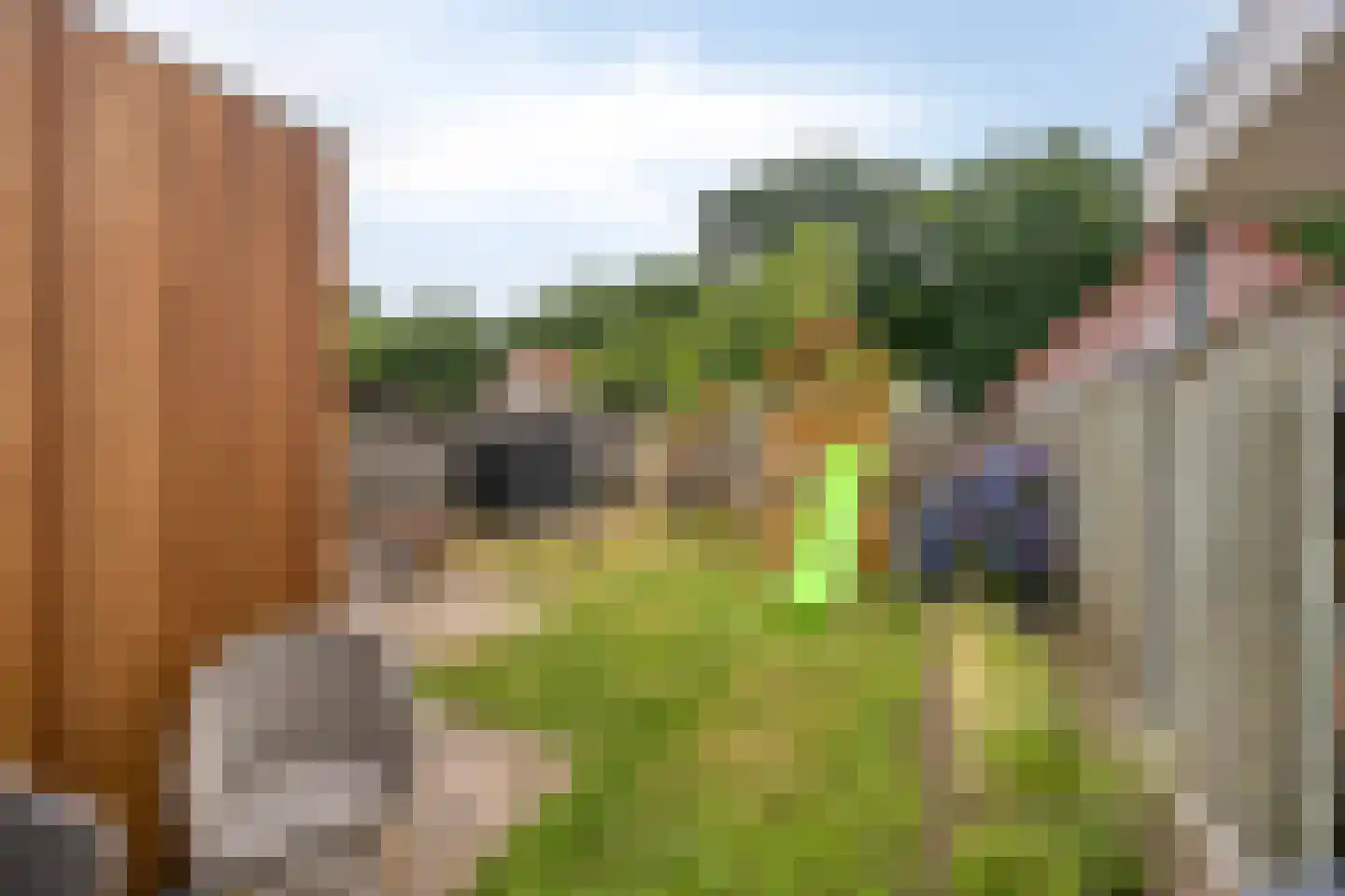Waalseweg 8 Someren thumbnail 32