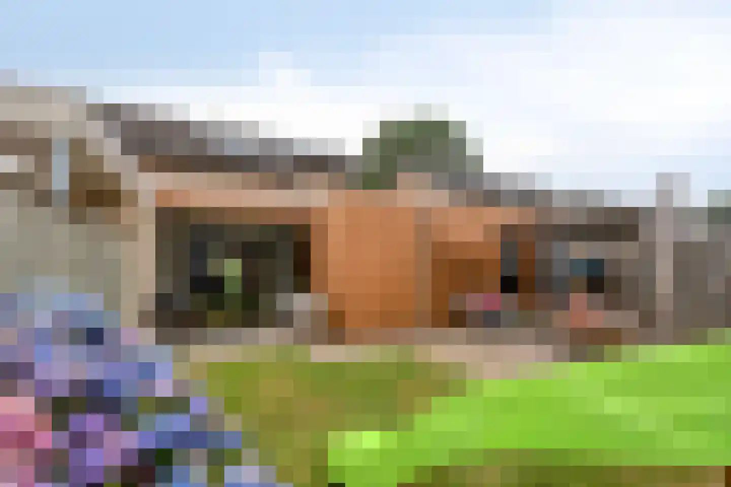 Waalseweg 8 Someren thumbnail 34
