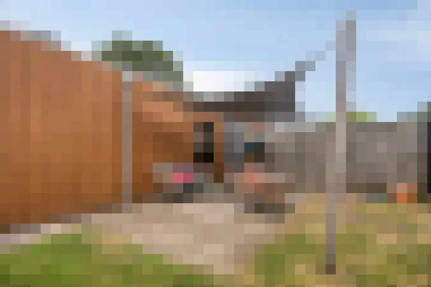 Waalseweg 8 Someren thumbnail 35