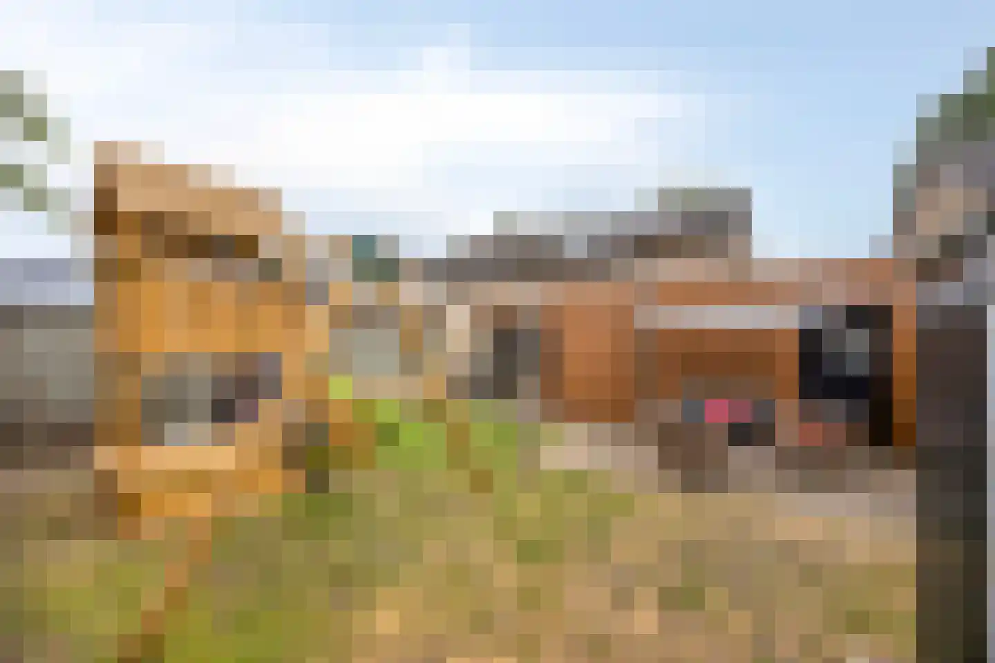 Waalseweg 8 Someren thumbnail 36