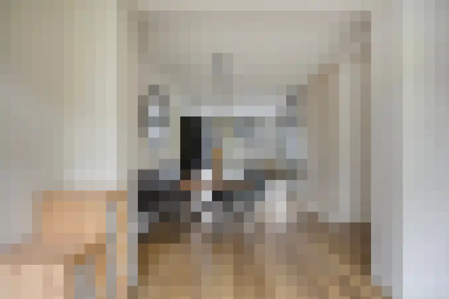 Waalseweg 8 Someren thumbnail 7