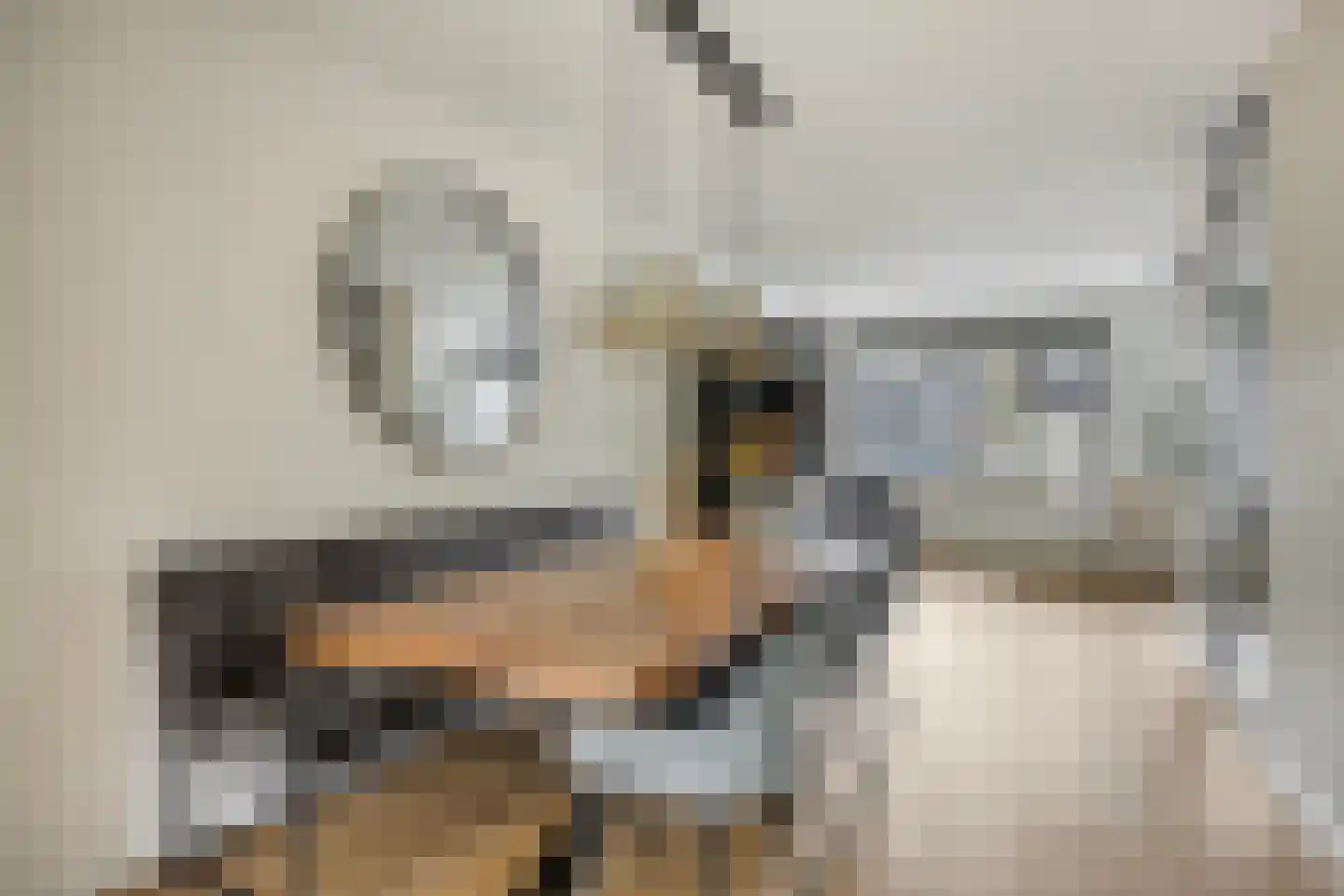 Waalseweg 8 Someren thumbnail 8