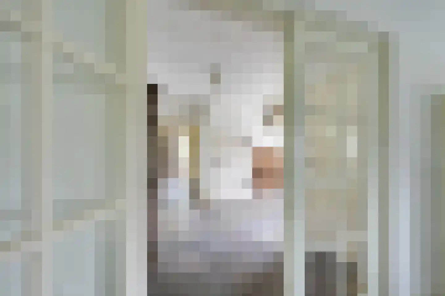 Waalseweg 84 Tull en 't Waal thumbnail 15