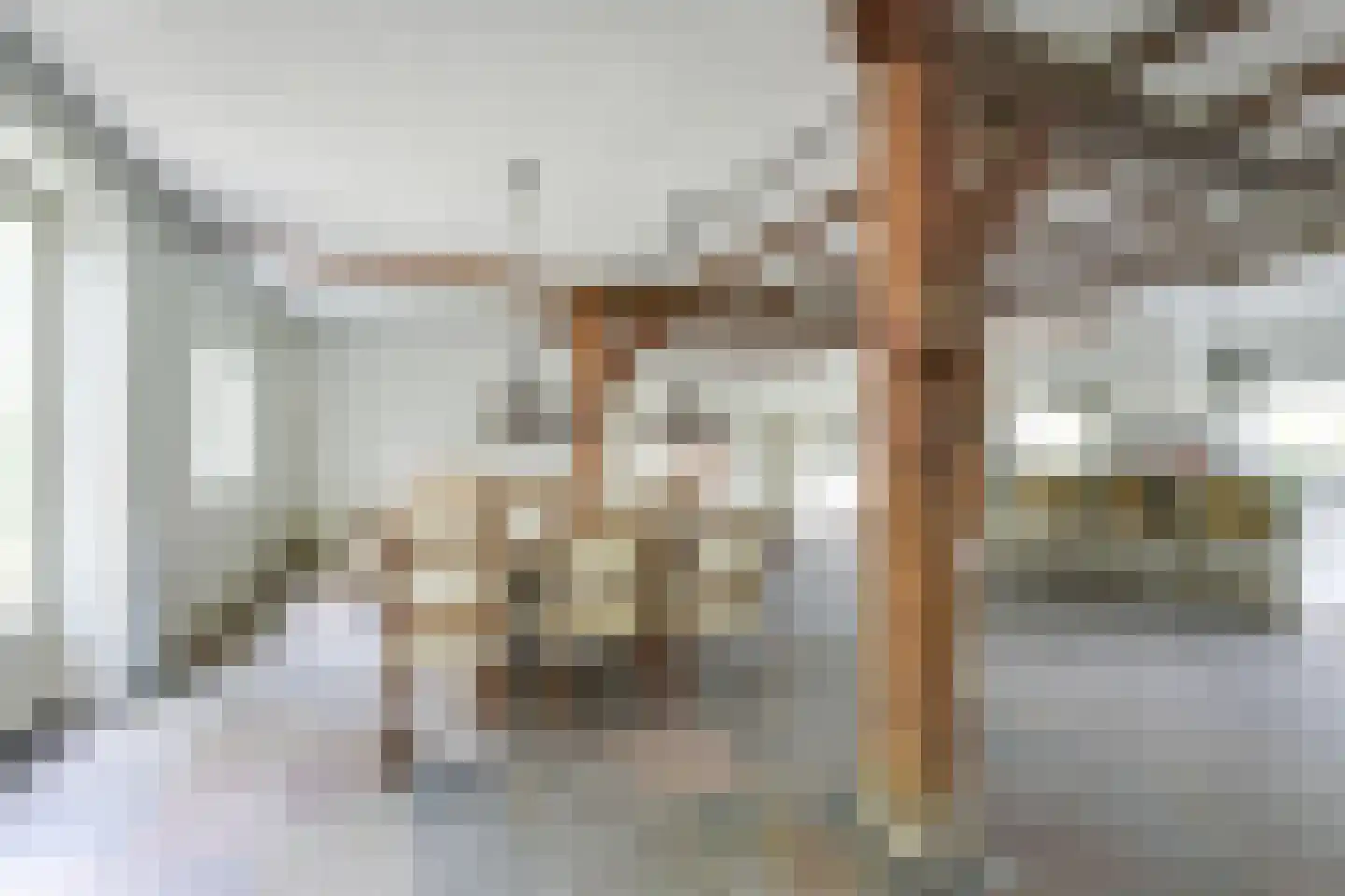 Waalseweg 84 Tull en 't Waal thumbnail 16