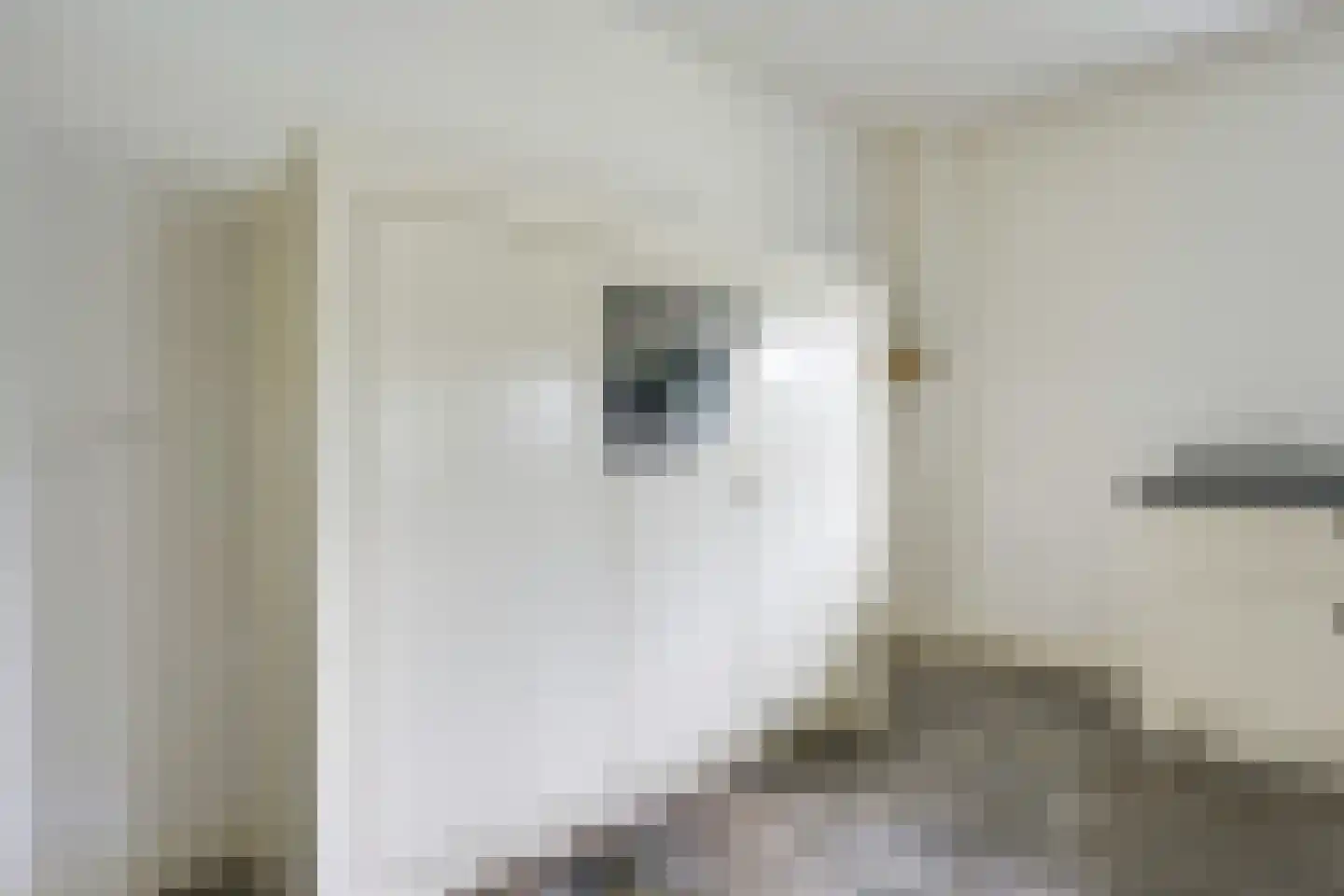 Waalseweg 84 Tull en 't Waal thumbnail 19