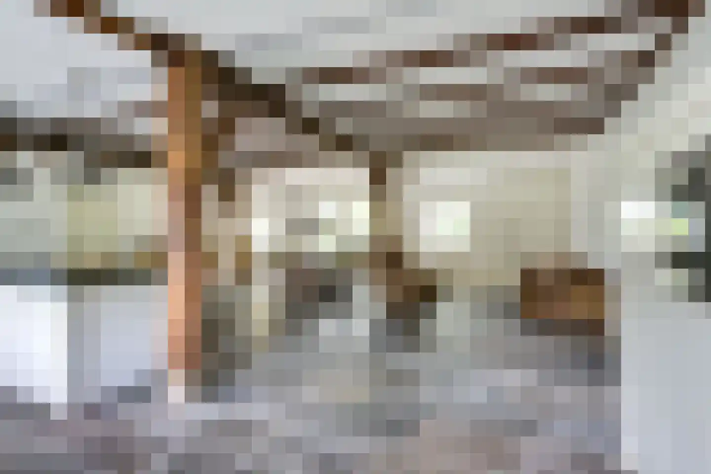 Waalseweg 84 Tull en 't Waal thumbnail 21