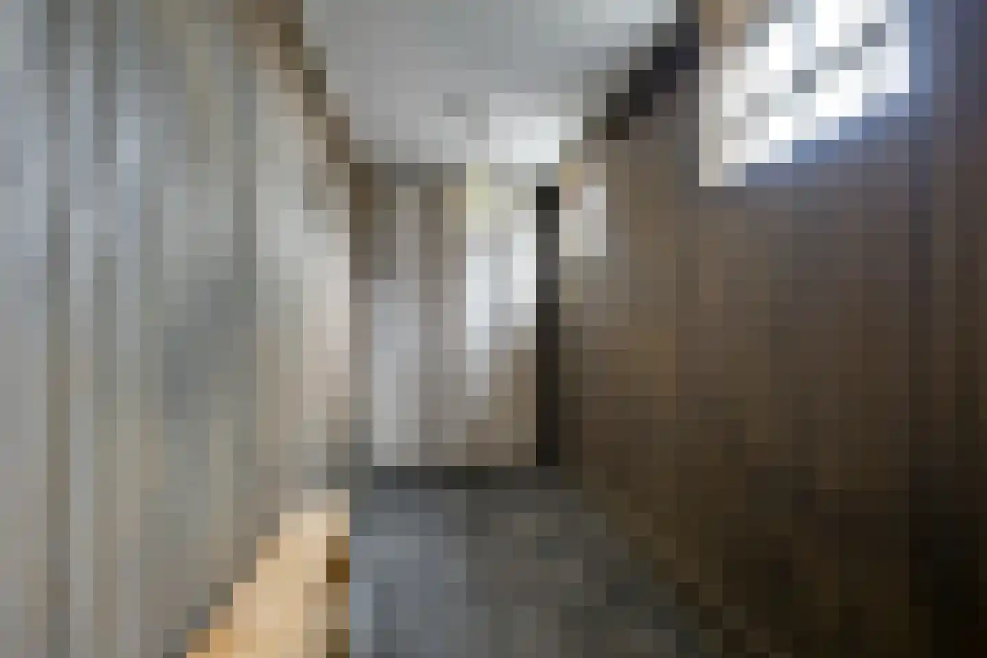 Waalseweg 84 Tull en 't Waal thumbnail 26