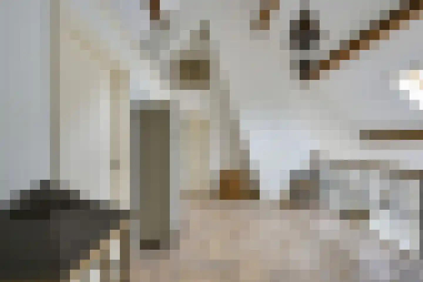 Waalseweg 84 Tull en 't Waal thumbnail 30