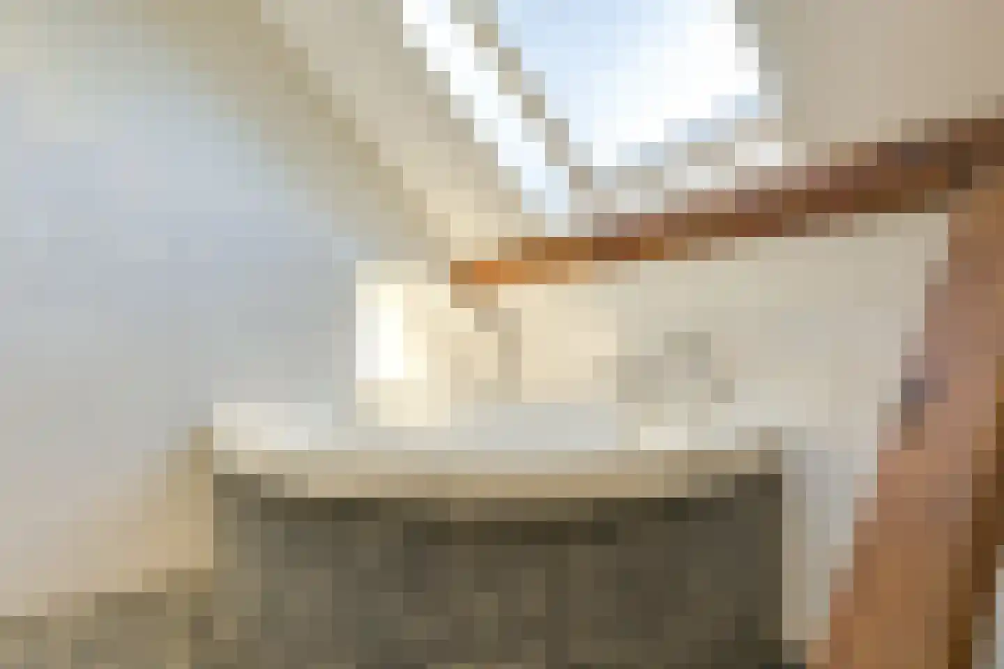 Waalseweg 84 Tull en 't Waal thumbnail 41