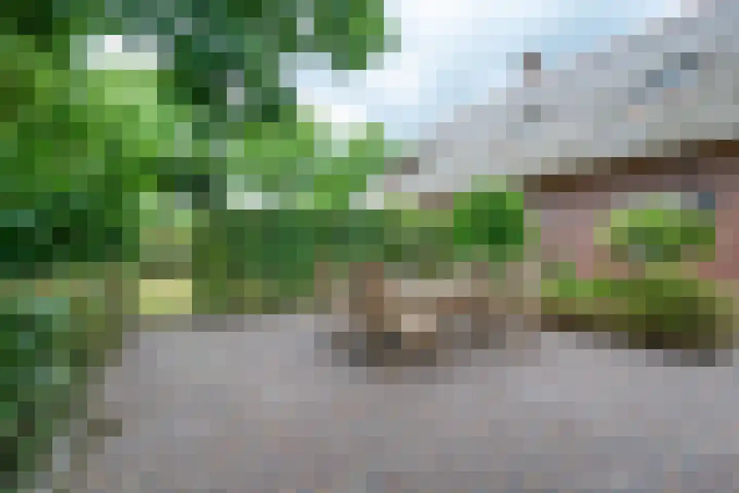 Waalseweg 84 Tull en 't Waal thumbnail 52