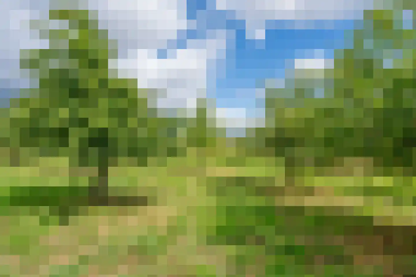 Waalseweg 84 Tull en 't Waal thumbnail 56