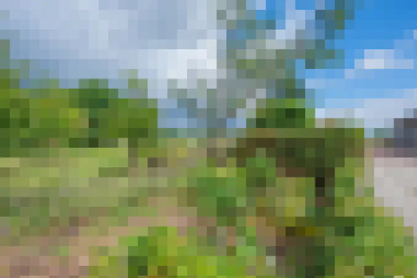 Waalseweg 84 Tull en 't Waal thumbnail 57