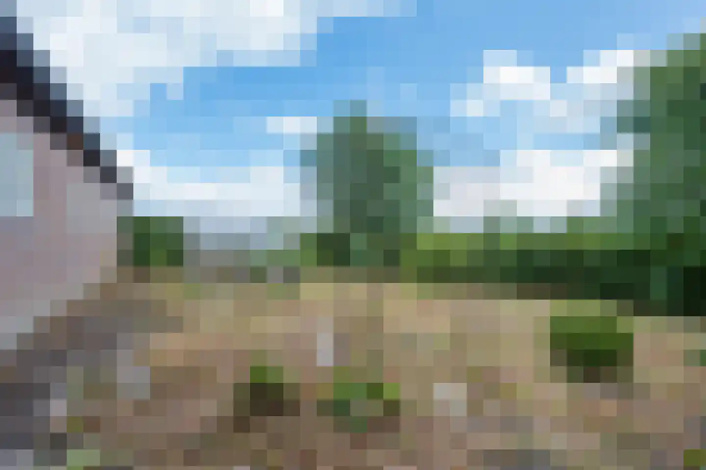 Waalseweg 84 Tull en 't Waal thumbnail 67