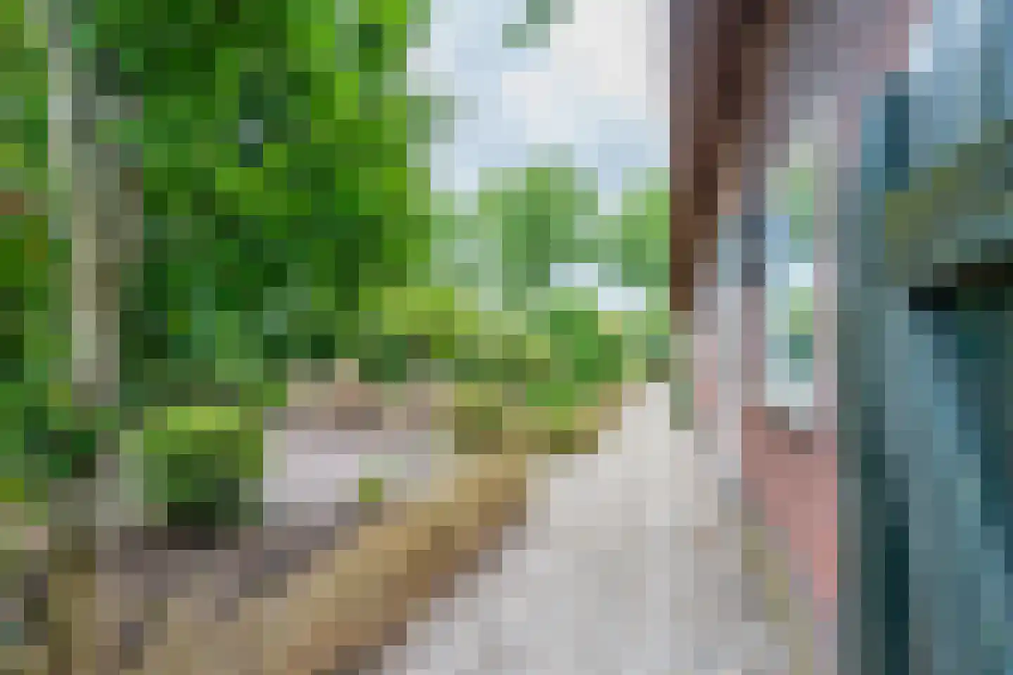 Waalseweg 84 Tull en 't Waal thumbnail 68