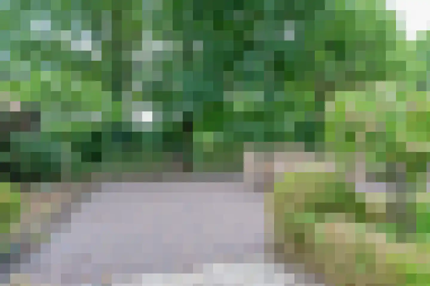Waalseweg 84 Tull en 't Waal thumbnail 69