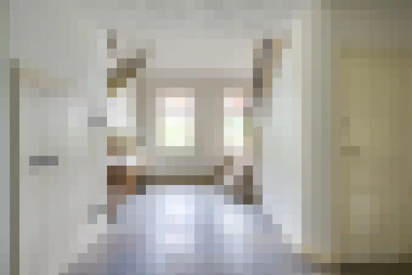 Waalseweg 84 Tull en 't Waal thumbnail 7