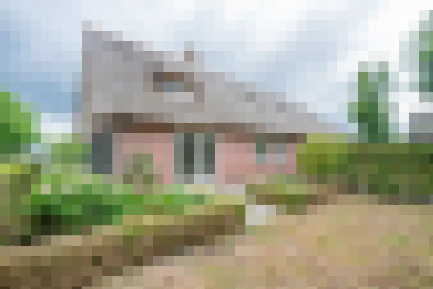 Waalseweg 84 Tull en 't Waal thumbnail 71