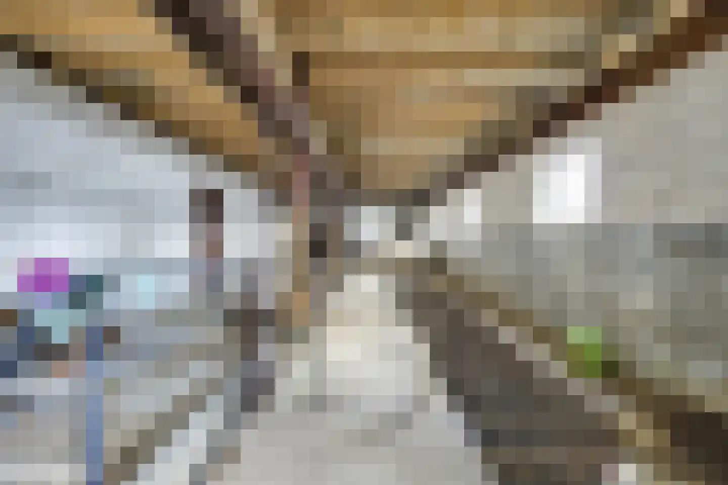 Waalseweg 84 Tull en 't Waal thumbnail 74