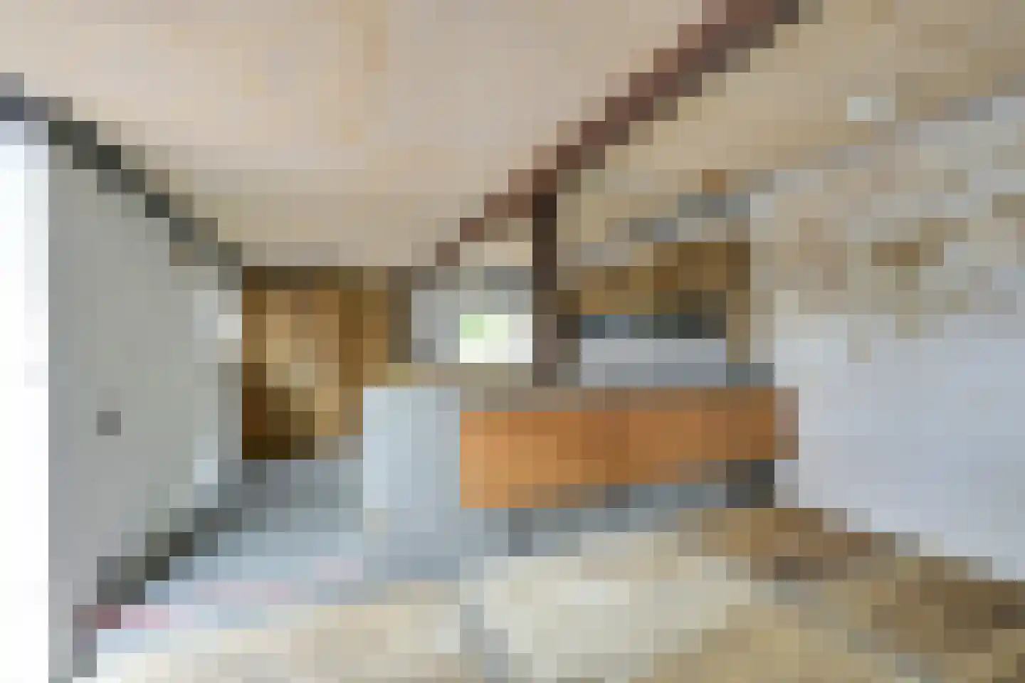 Waalseweg 84 Tull en 't Waal thumbnail 78