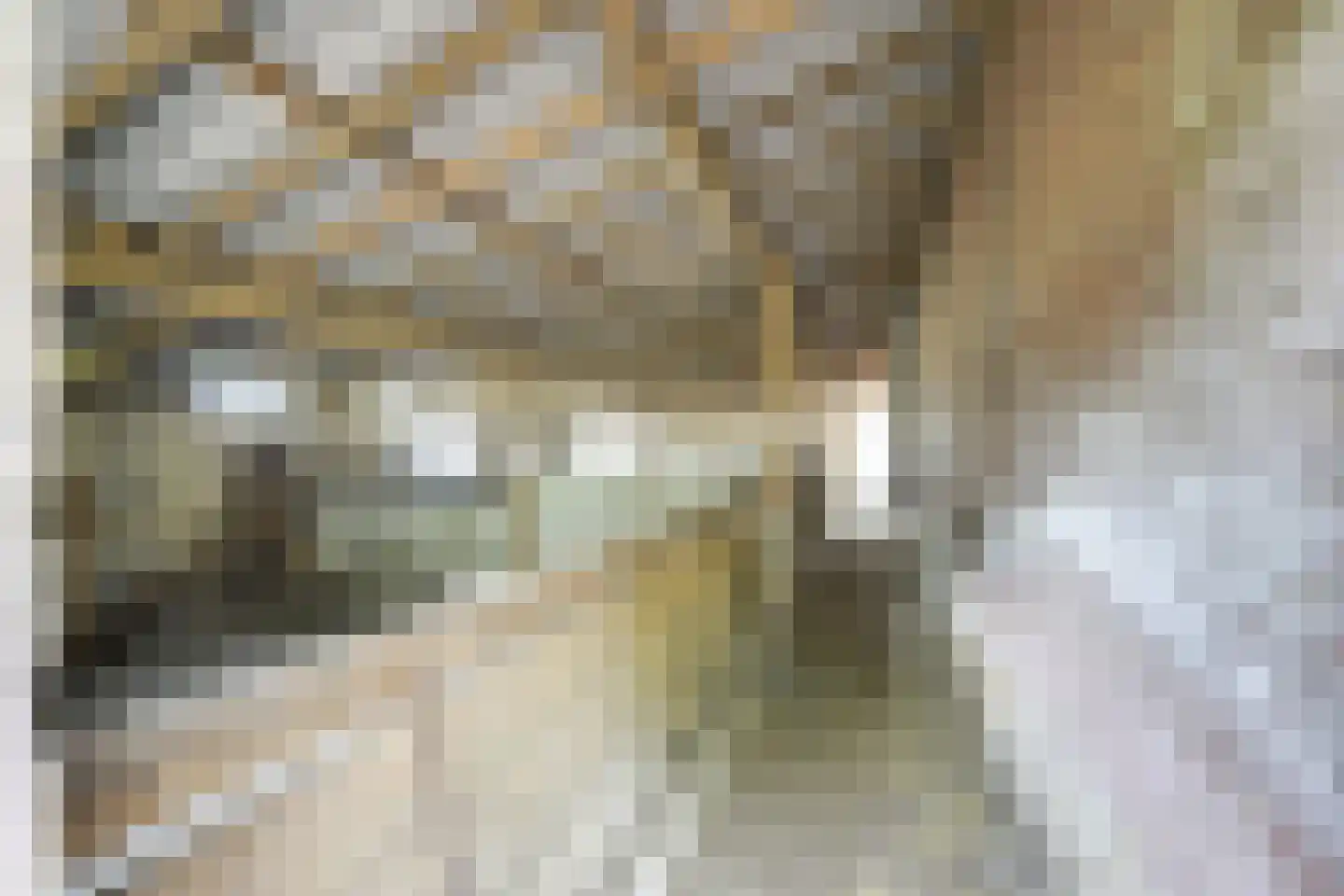 Waalseweg 84 Tull en 't Waal thumbnail 81