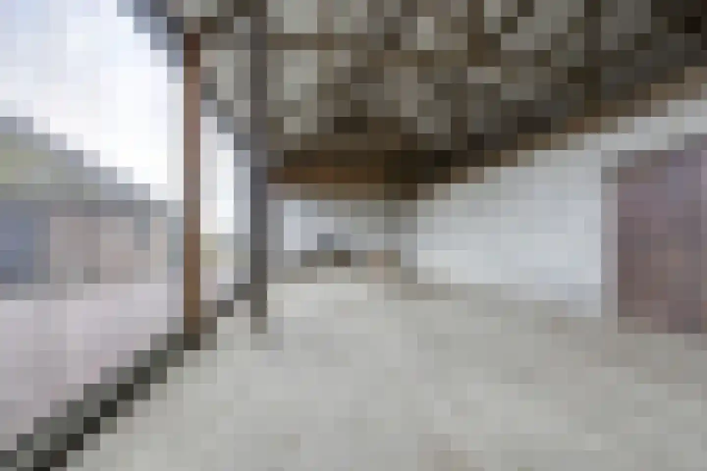 Waalseweg 84 Tull en 't Waal thumbnail 82