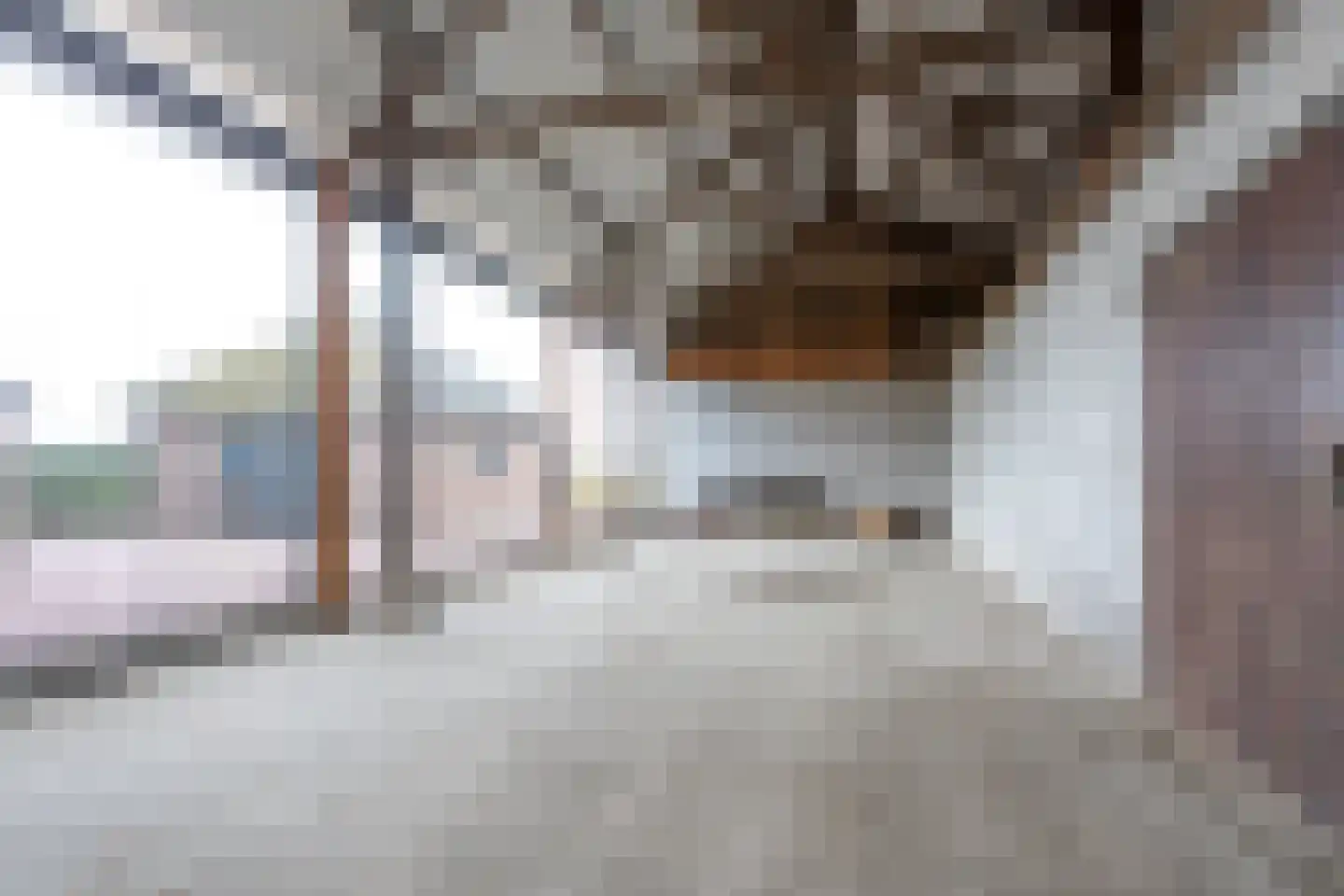Waalseweg 84 Tull en 't Waal thumbnail 83