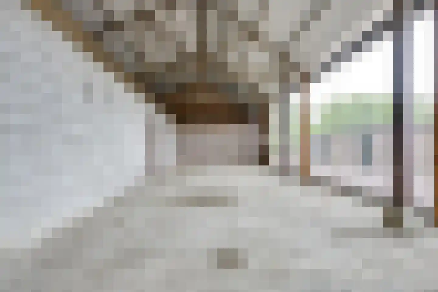 Waalseweg 84 Tull en 't Waal thumbnail 84