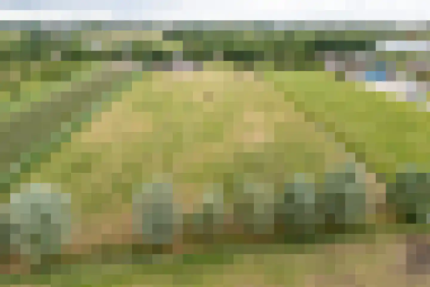 Waalseweg 84 Tull en 't Waal thumbnail 88