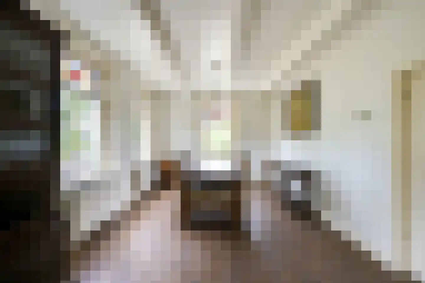 Waalseweg 84 Tull en 't Waal thumbnail 9