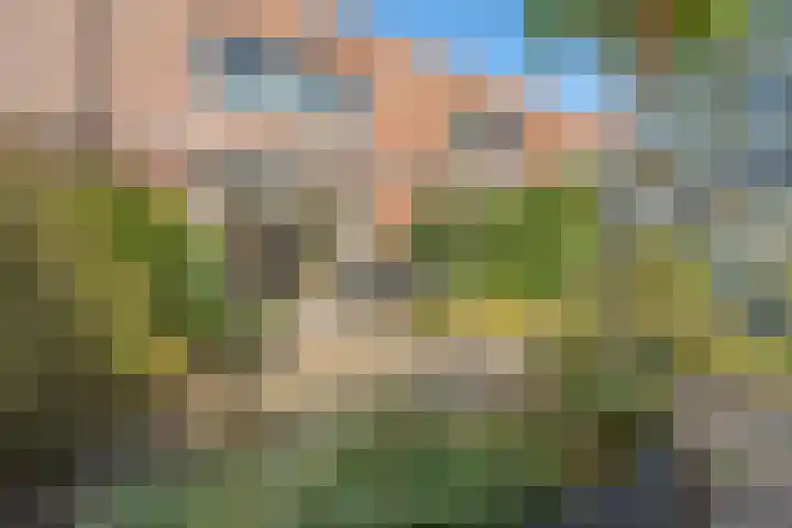Waalsingel 14 IJsselstein thumbnail 32