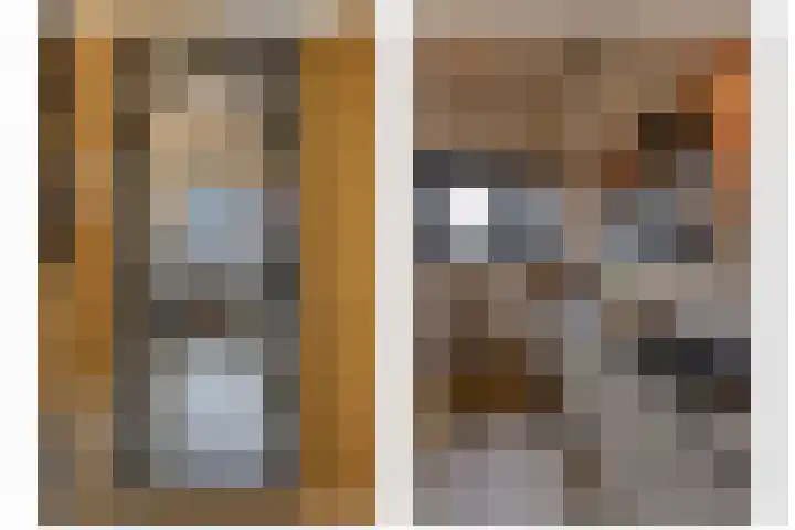 Waalslop 3 Poortugaal thumbnail 14