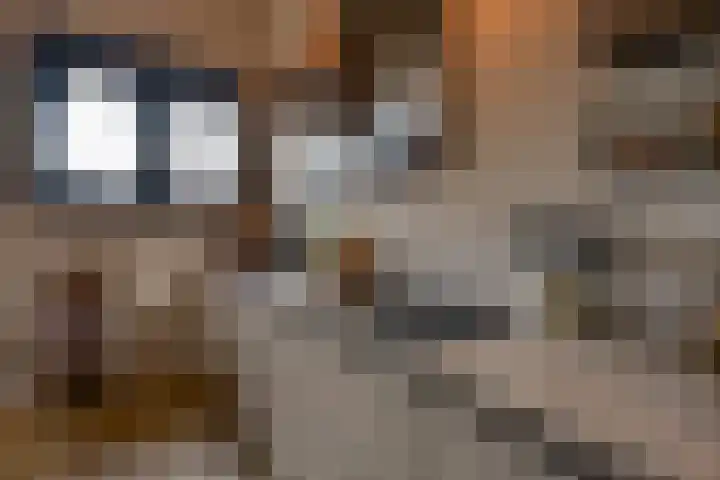 Waalslop 3 Poortugaal thumbnail 15