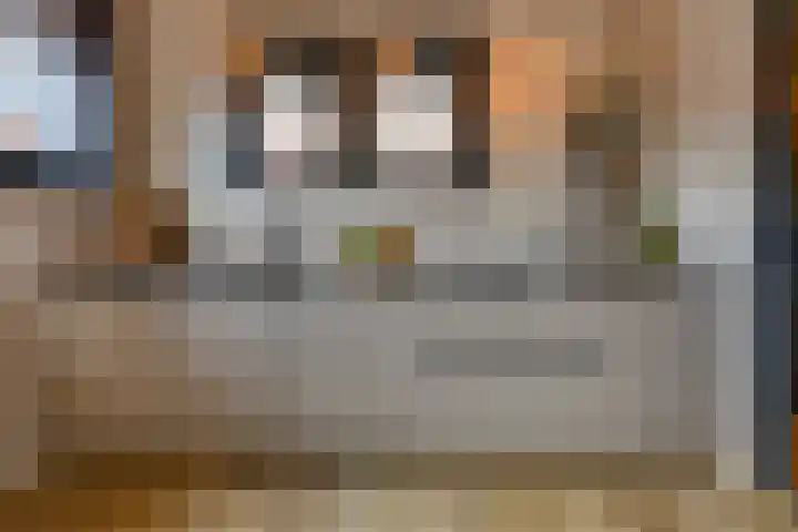 Waalslop 3 Poortugaal thumbnail 16