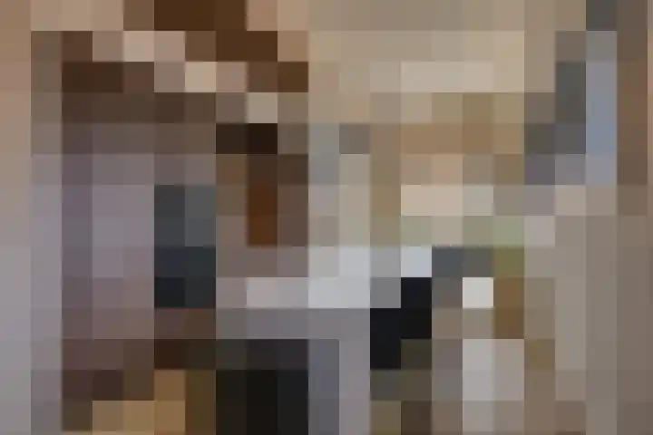 Waalslop 3 Poortugaal thumbnail 17