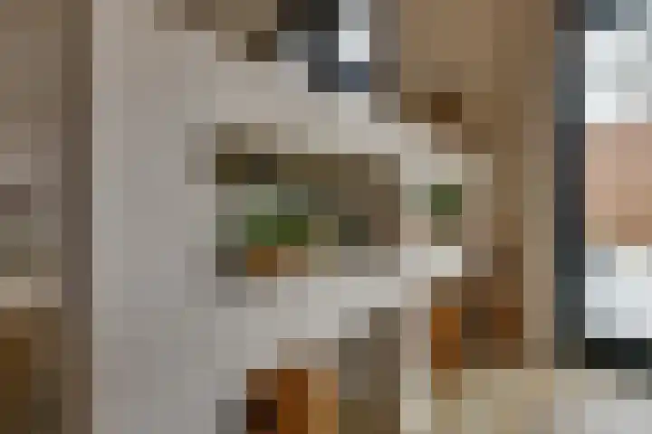 Waalslop 3 Poortugaal thumbnail 23
