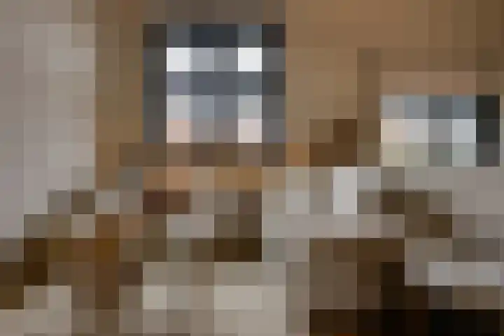 Waalslop 3 Poortugaal thumbnail 24