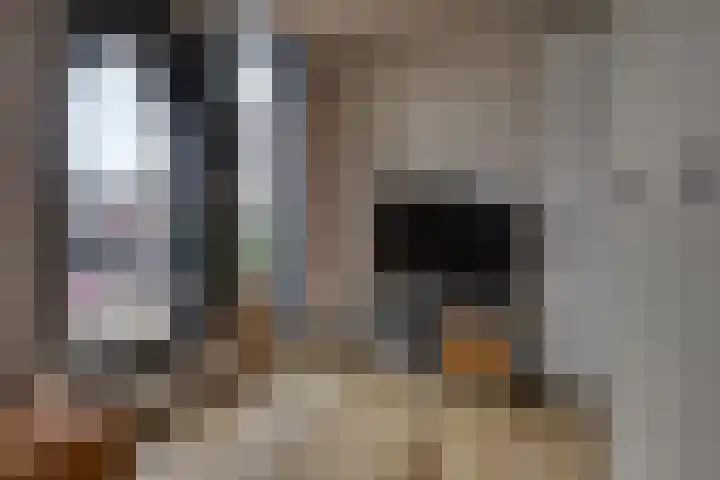 Waalslop 3 Poortugaal thumbnail 31