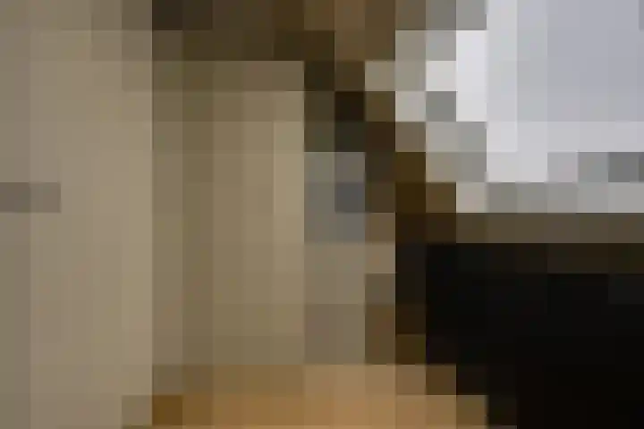 Waalslop 3 Poortugaal thumbnail 32