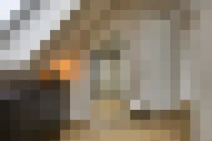 Waalslop 3 Poortugaal thumbnail 33