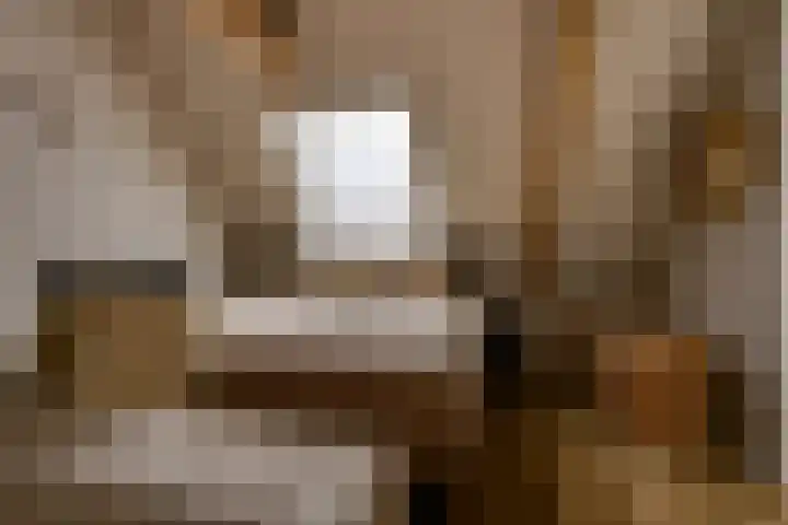 Waalslop 3 Poortugaal thumbnail 39