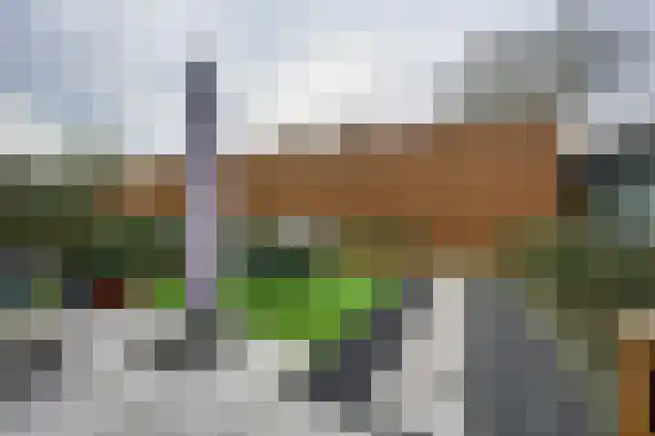 Waalslop 3 Poortugaal thumbnail 43