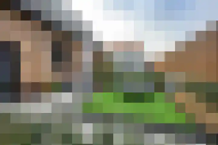 Waalslop 3 Poortugaal thumbnail 45