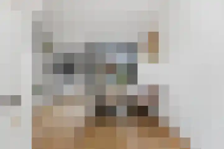 Waalsmondelaan 24 Alblasserdam thumbnail 10
