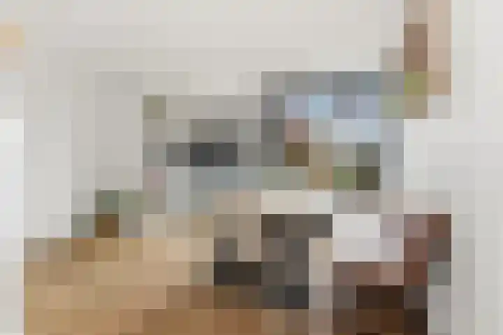 Waalsmondelaan 24 Alblasserdam thumbnail 11