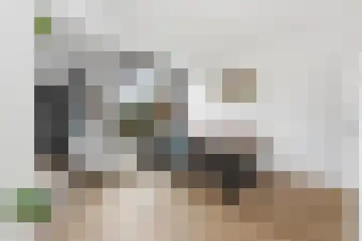 Waalsmondelaan 24 Alblasserdam thumbnail 13