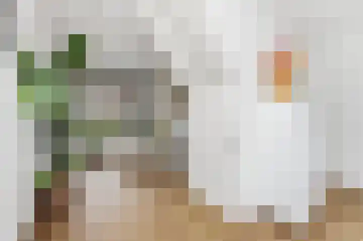 Waalsmondelaan 24 Alblasserdam thumbnail 17