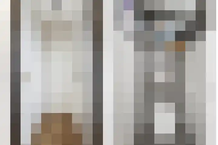 Waalsmondelaan 24 Alblasserdam thumbnail 23
